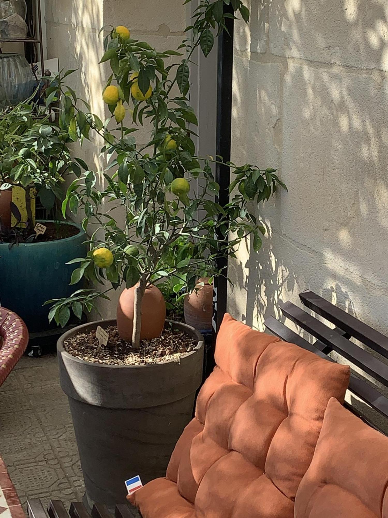 Chambre D'Hotes Lo Componairo Pouzols Exteriör bild